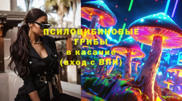 меф Арсеньев