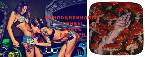 меф Арсеньев
