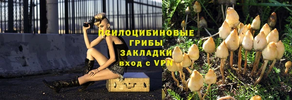 меф Арсеньев