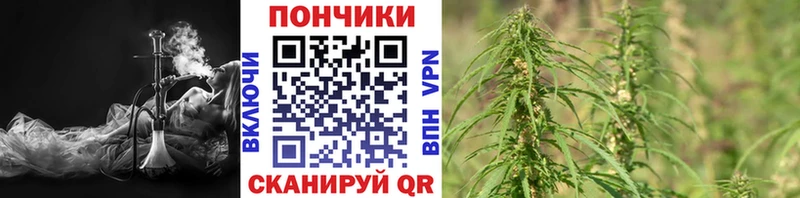 Бошки марихуана тримм  продажа наркотиков  Светогорск 